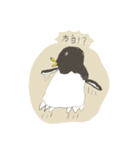 たまに怖い顔をするアデリーペンギン2（個別スタンプ：16）