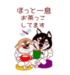 しばっちのあずきとくるみ（個別スタンプ：4）