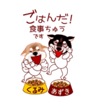 しばっちのあずきとくるみ（個別スタンプ：7）