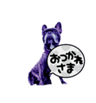 HaHaHa フレブル（個別スタンプ：5）