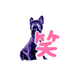HaHaHa フレブル（個別スタンプ：7）