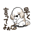 シーズー犬 『思わず本音がでちゃう』2025（個別スタンプ：18）