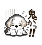 シーズー犬 『思わず本音がでちゃう』2025（個別スタンプ：23）