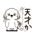 シーズー犬 『思わず本音がでちゃう』2025（個別スタンプ：34）