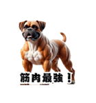 ボクサー犬のブルーノ（広島弁＆筋肉）（個別スタンプ：3）