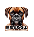 ボクサー犬のブルーノ（広島弁＆筋肉）（個別スタンプ：25）