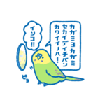 おしゃべりセキセイインコちゃん（個別スタンプ：40）