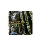 背景(カスタム)（個別スタンプ：5）