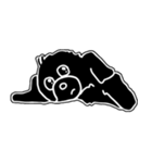 くろちゃんstamp（個別スタンプ：4）
