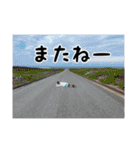 配信者 こまち（個別スタンプ：27）