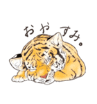 リアルイラスト（個別スタンプ：2）