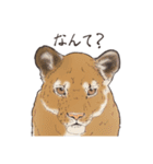 リアルイラスト（個別スタンプ：14）