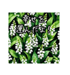 花や植物たちのほっこり日常トーク！（個別スタンプ：12）