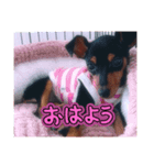 モエちゃん❤︎すたんぷ！（個別スタンプ：1）