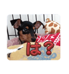 モエちゃん❤︎すたんぷ！（個別スタンプ：7）