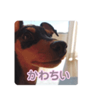 モエちゃん❤︎すたんぷ！（個別スタンプ：8）