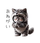 ニャンコとオオカミ★着ぐるみ★ガオー（個別スタンプ：5）