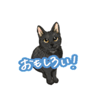 猫たちと日常会話！（個別スタンプ：6）
