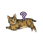 猫たちと日常会話！（個別スタンプ：10）