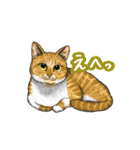 猫たちと日常会話！（個別スタンプ：16）