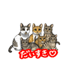 猫たちと日常会話！（個別スタンプ：18）