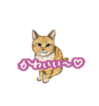 猫たちと日常会話！（個別スタンプ：19）