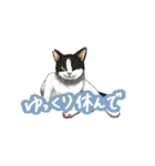 猫たちと日常会話！（個別スタンプ：23）