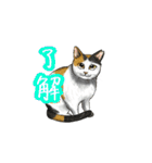 猫たちと日常会話！（個別スタンプ：31）