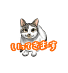 猫たちと日常会話！（個別スタンプ：36）