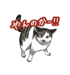 猫たちと日常会話！（個別スタンプ：40）