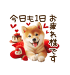 ずっと使える思いやりの柴犬*❅·̩͙（個別スタンプ：4）