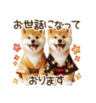 ずっと使える思いやりの柴犬*❅·̩͙（個別スタンプ：9）