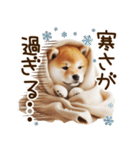 ずっと使える思いやりの柴犬*❅·̩͙（個別スタンプ：19）