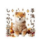 ずっと使える思いやりの柴犬*❅·̩͙（個別スタンプ：21）