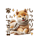 ずっと使える思いやりの柴犬*❅·̩͙（個別スタンプ：22）