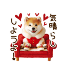 ずっと使える思いやりの柴犬*❅·̩͙（個別スタンプ：25）