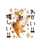 ずっと使える思いやりの柴犬*❅·̩͙（個別スタンプ：31）