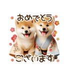 ずっと使える思いやりの柴犬*❅·̩͙（個別スタンプ：34）