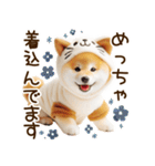 ずっと使える思いやりの柴犬*❅·̩͙（個別スタンプ：39）