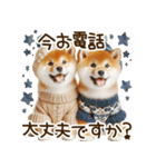 ずっと使える思いやりの柴犬*❅·̩͙（個別スタンプ：40）