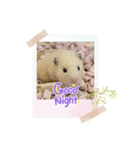 べあちゃん❤︎すたんぷ！（個別スタンプ：3）