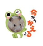 べあちゃん❤︎すたんぷ！（個別スタンプ：4）