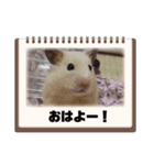 べあちゃん❤︎すたんぷ！（個別スタンプ：7）