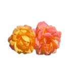 薔薇。（個別スタンプ：32）