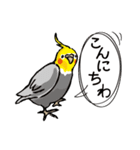 オカメのポタちゃんと仲間たち（個別スタンプ：1）