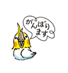 オカメのポタちゃんと仲間たち（個別スタンプ：12）