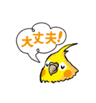 オカメのポタちゃんと仲間たち（個別スタンプ：13）