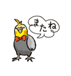 オカメのポタちゃんと仲間たち（個別スタンプ：16）