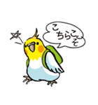 オカメのポタちゃんと仲間たち（個別スタンプ：17）