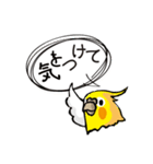 オカメのポタちゃんと仲間たち（個別スタンプ：23）